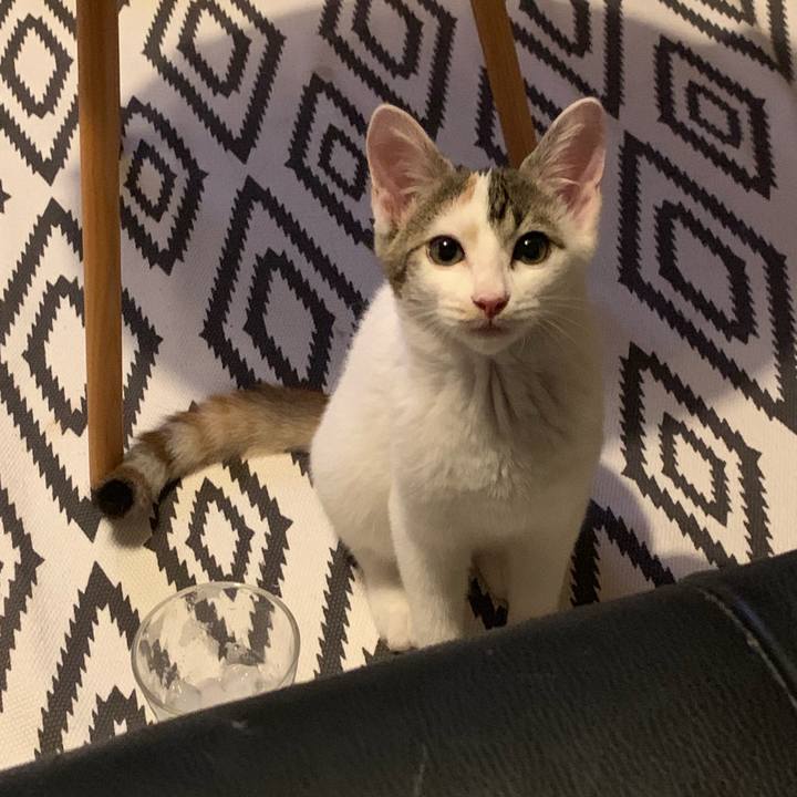 F8d058aa a302 43a8 97c8 682b62619c1b 1596200203552