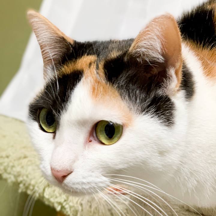 F8d06333 2850 49b2 8952 d0266b7618ce 1547257508685