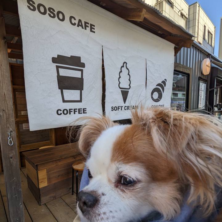 F8d08e56 1e39 4c45 a59c 9a93602f1d38 1671158872837