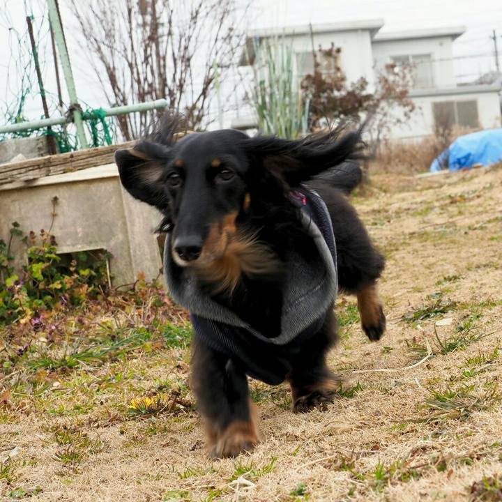 F8d0aba2 6e7c 4cc9 b4da 473622d1ebb0 1550463215008