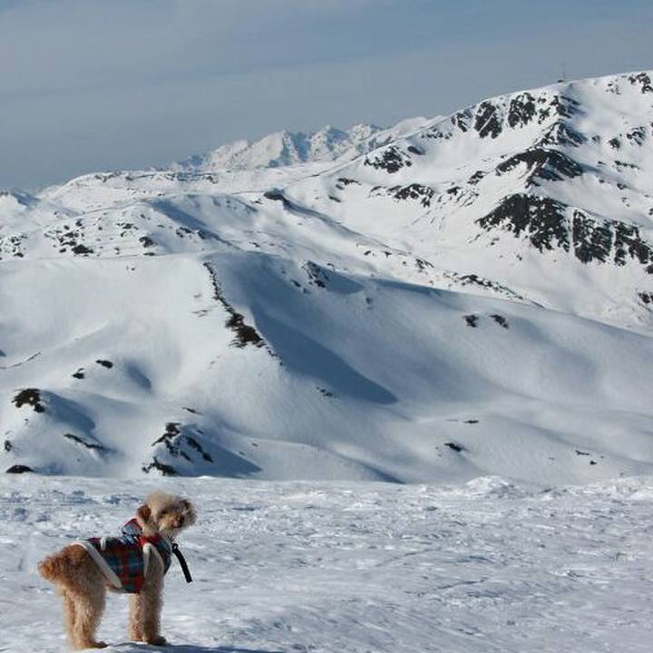 F8d0b736 3cdd 4a7e bf85 3d827abfb6b4 1581872621173