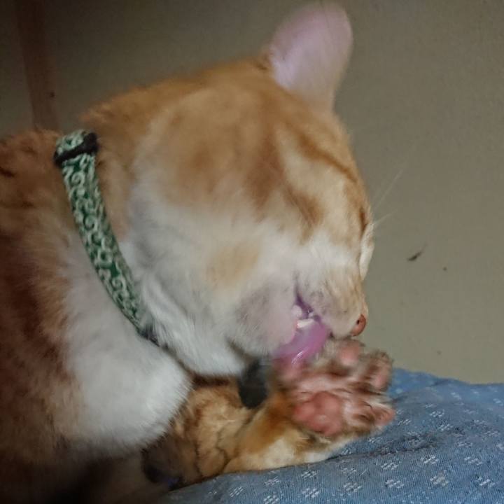 F8d0cb04 b7a4 437e 8630 d636e8feafac 1582712676845