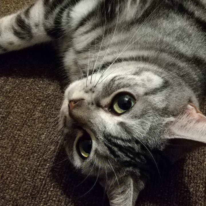 F8d0d647 4115 47ff a1bc 995634150f8f 1654256287770