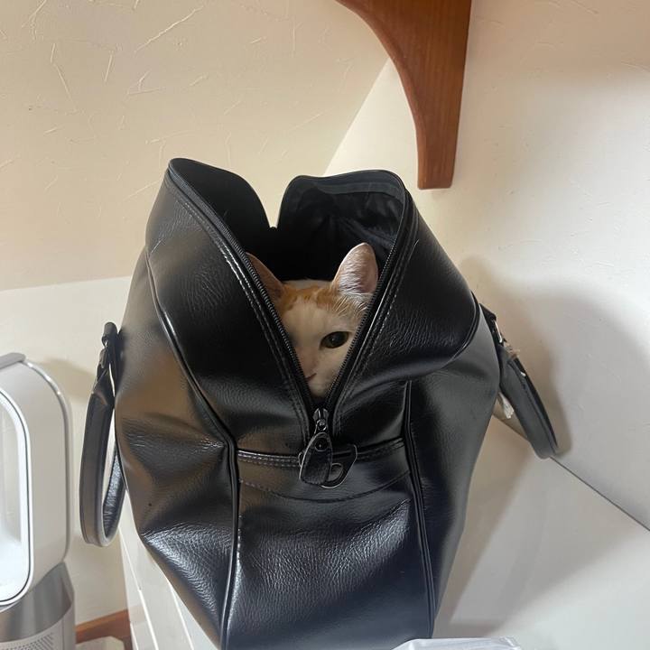 F8d0e9de 28e8 4b96 9bdf d41cc66df41c 1673668500118