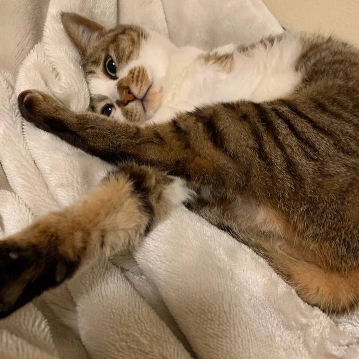 F8d0f345 5a88 41c8 8377 0773298aba01 1555079616950