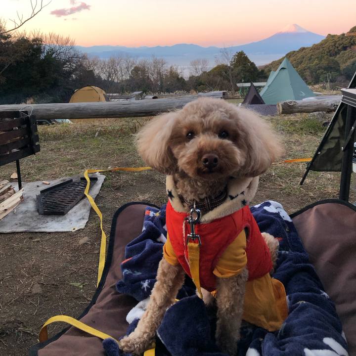 F8d0f9cb 47ac 4fc3 b31a 8afb0278a38f 1774691577253