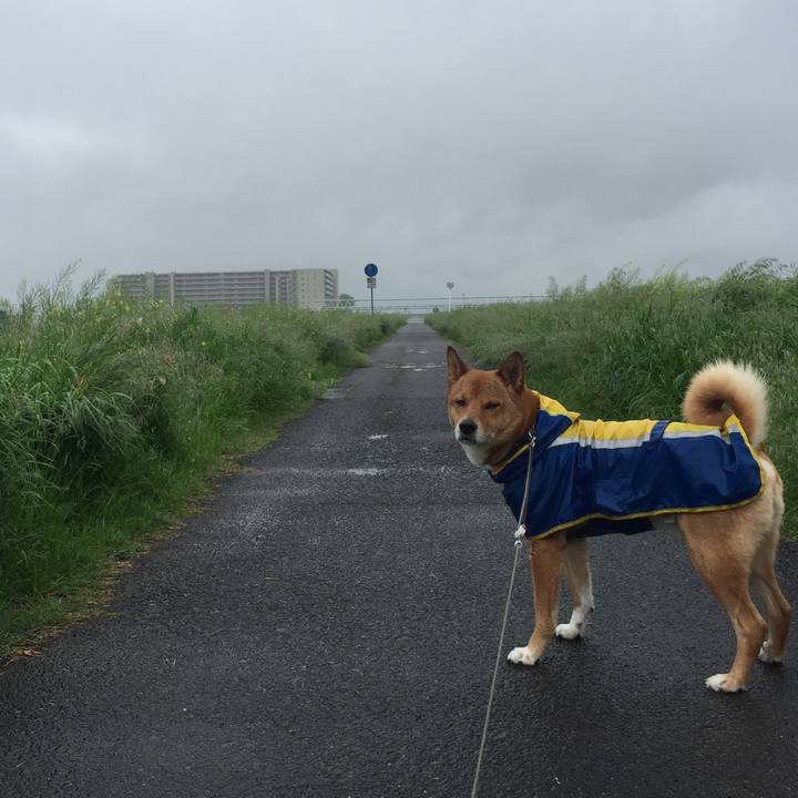 F8d108f0 f55e 4147 bec6 8ebc62b3f81a 1556582810140