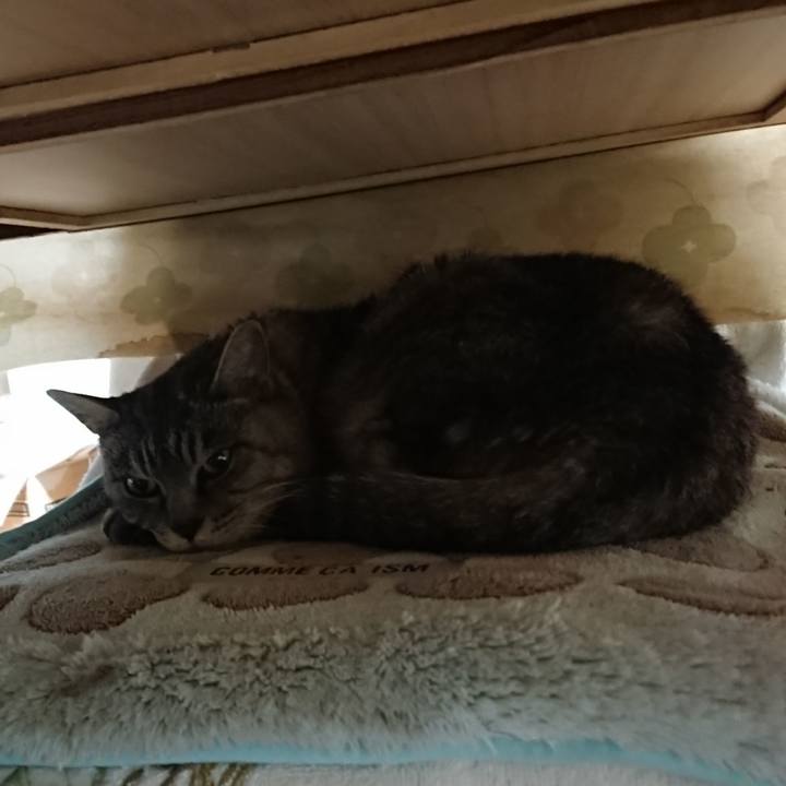 F8d11b21 f937 4c07 bcb3 27d0da44ab6b 1572997699349