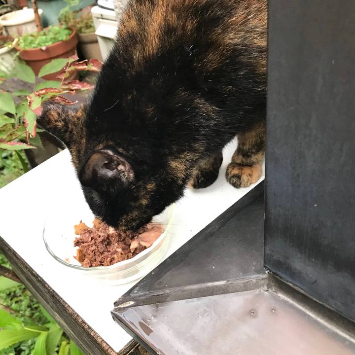 F8d150cf b1dd 4eba b8f8 f3de0ac0128d 1599961242106