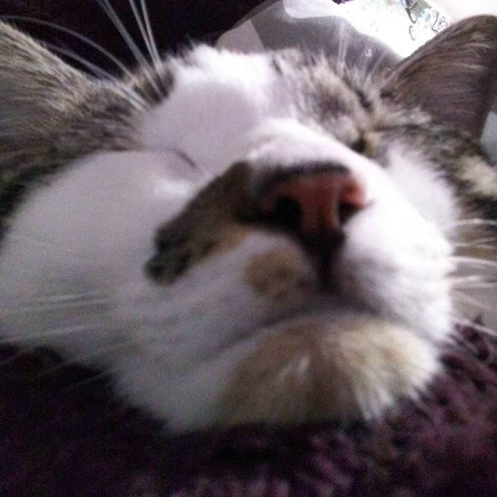 F8d172b5 bb4c 46b0 97d0 6e40159f23d1 1638941066509