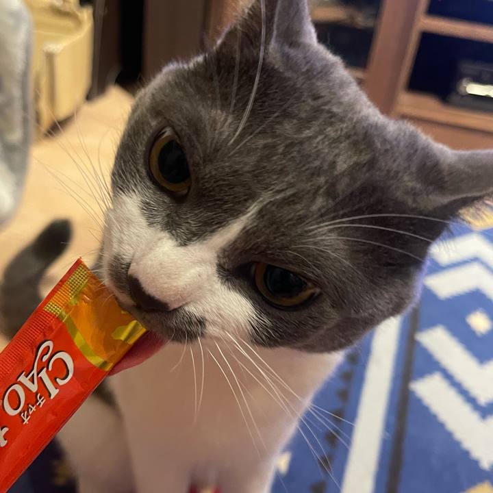 F8d1783b 400b 41b5 b4dc 32ef632a0107 1630491344738