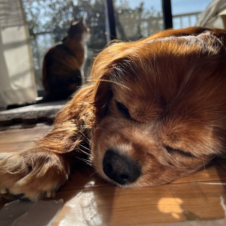 F8d193c9 f62d 49c6 bdc6 d461510bc743 1739580694771