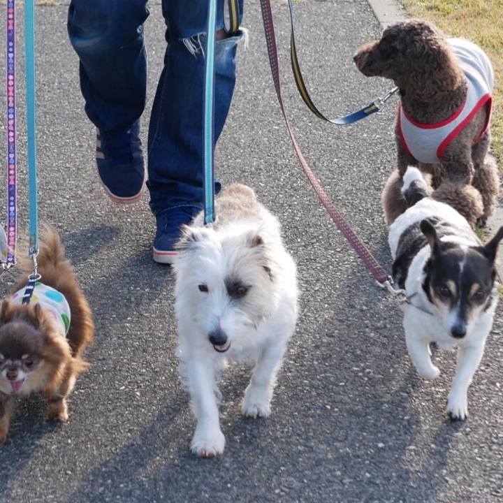 F8d1adfe 7c79 4fb9 9f54 c9014e893689 1573348644175