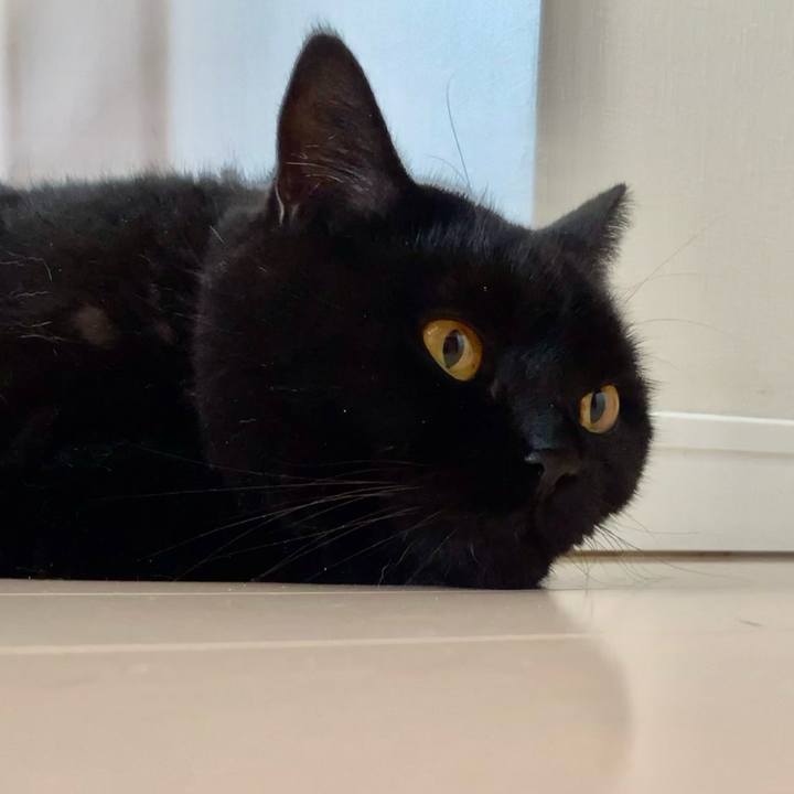 F8d1af56 d6ac 4736 84bf bde510d8d669 1692658873807