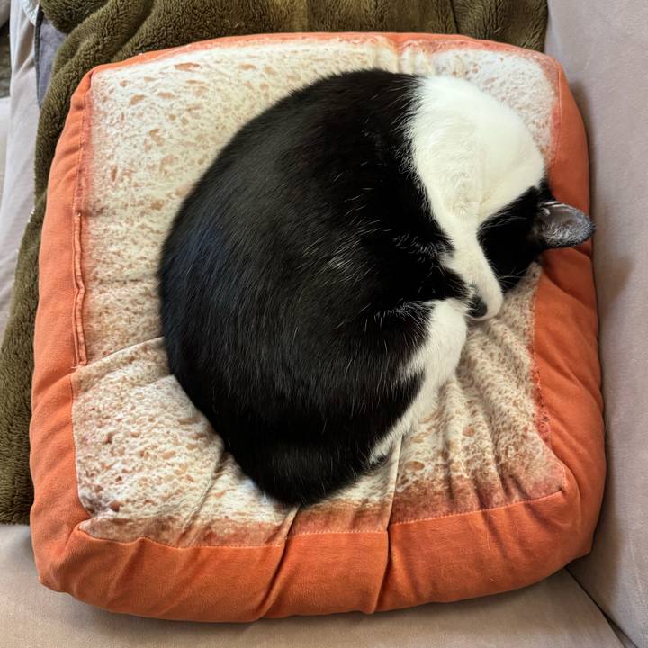 F8d212db 1024 47a5 863e 248ea5a38dcd 1764980634096