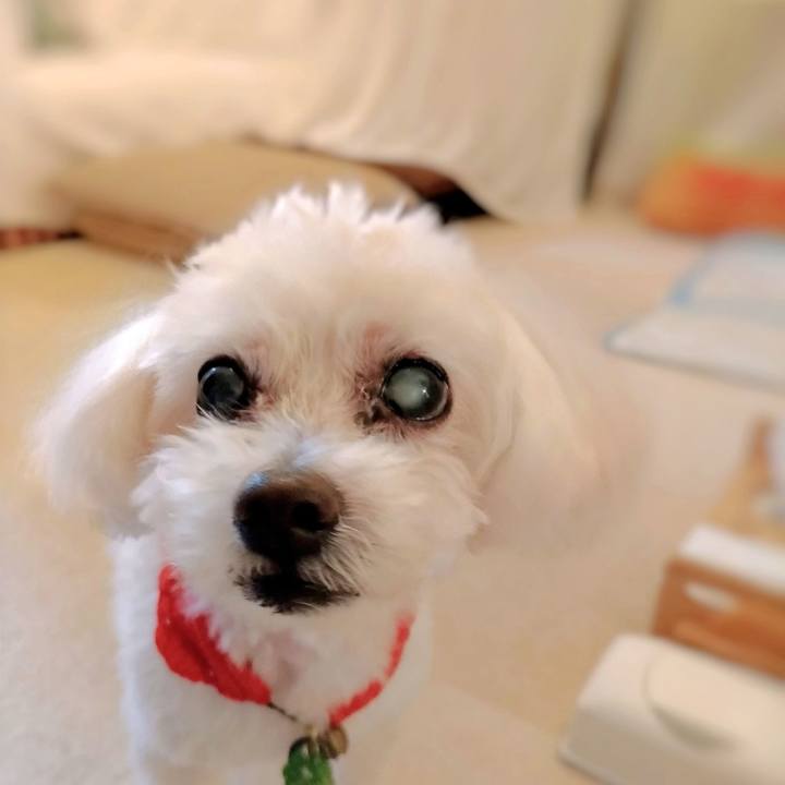 F8d21c7d 860d 41ec a7e8 6a25ab638272 1693894059979