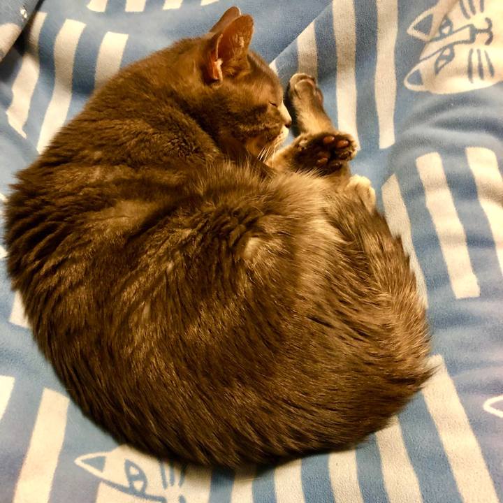 F8d2273a 4ace 4116 908e 7746c8247f4a 1551481174257