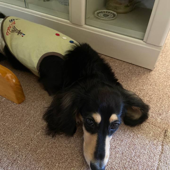 F8d25d0d d88e 4c1a 98fb e3eab54d5745 1684385453281