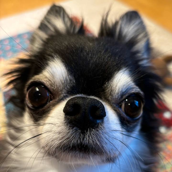 F8d27304 8be6 4c3b b433 0079e09e8b14 1723244665809