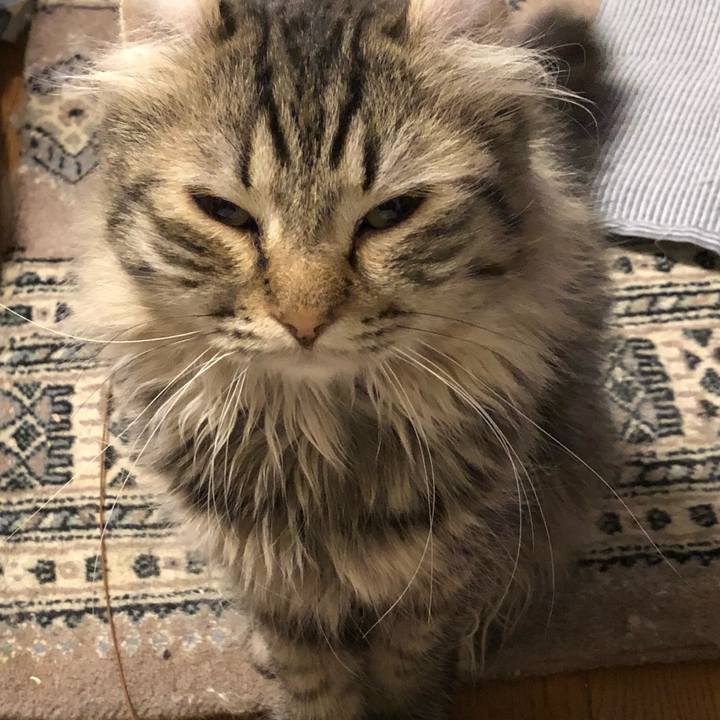 F8d292fb 0f97 4d14 8add f3fba0323115 1529313621846