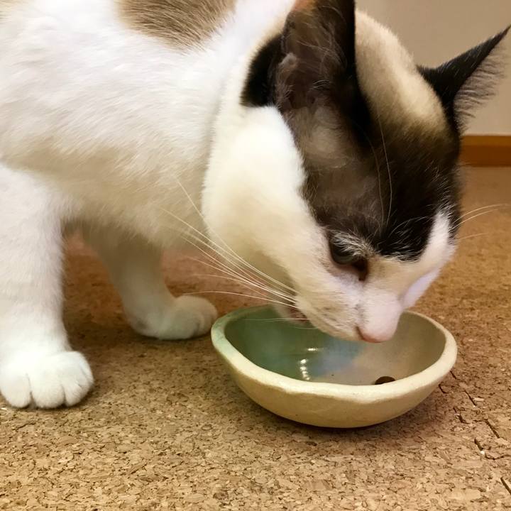 F8d2b573 cab1 4c13 b27b 8f28dfe3cc6d 1550138152797