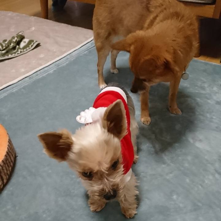 F8d2cda8 f7b9 46ac 85b4 fc83bfeafade 1545613112857