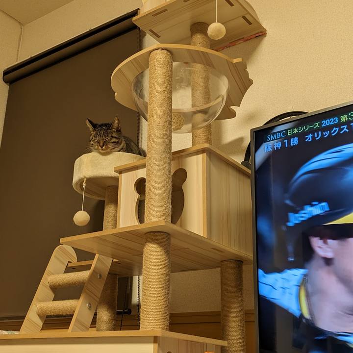 F8d2d0c3 c75a 4cb7 9fec 254fc8713483 1698758142403