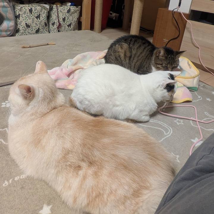 F8d2dc45 224f 42af 9701 4d29be5333d6 1760443533637