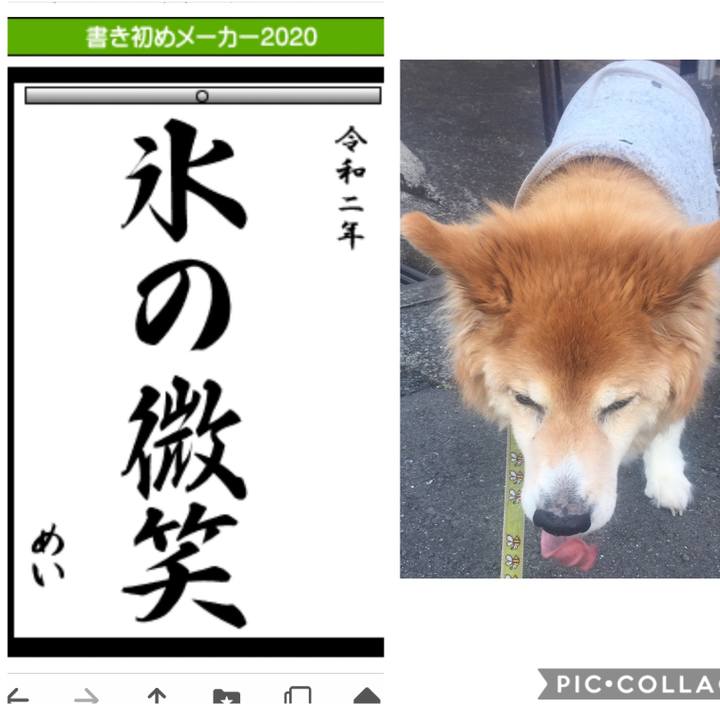 F8d2fd3b 4098 4fd7 89d3 37522a4ff7a3 1577973823201