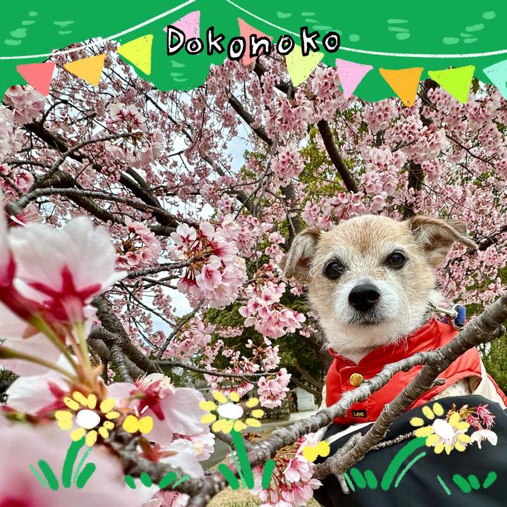 F8d32397 9b0e 423a 9b92 d7b2ef0f4470 1711256403924