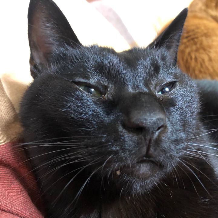 F8d34afb f828 4d94 b68f 52415acc0d7b 1731748980393