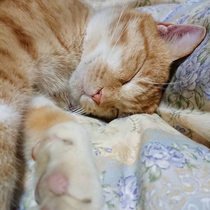 F8d3660d 2a7c 4231 ac53 2283046ded64 1576155675267