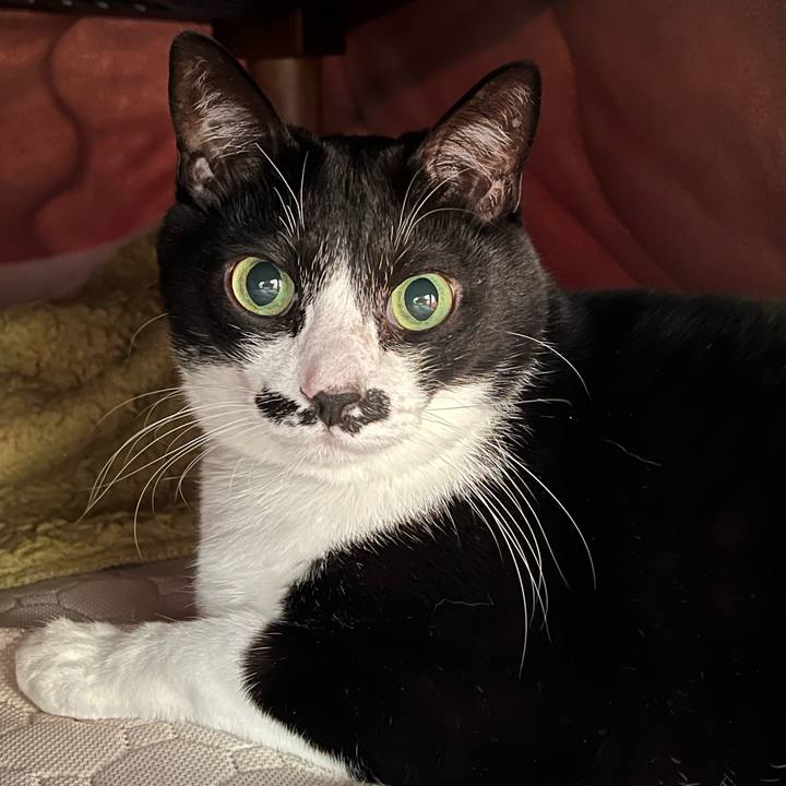 F8d36666 a9cd 49f2 8d09 0531f613a9c2 1768516828769