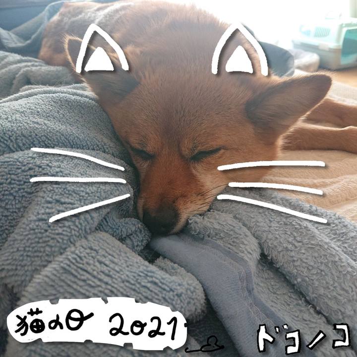 F8d37f8b cef9 4daa 90d2 d6a34b084d48 1613970964817