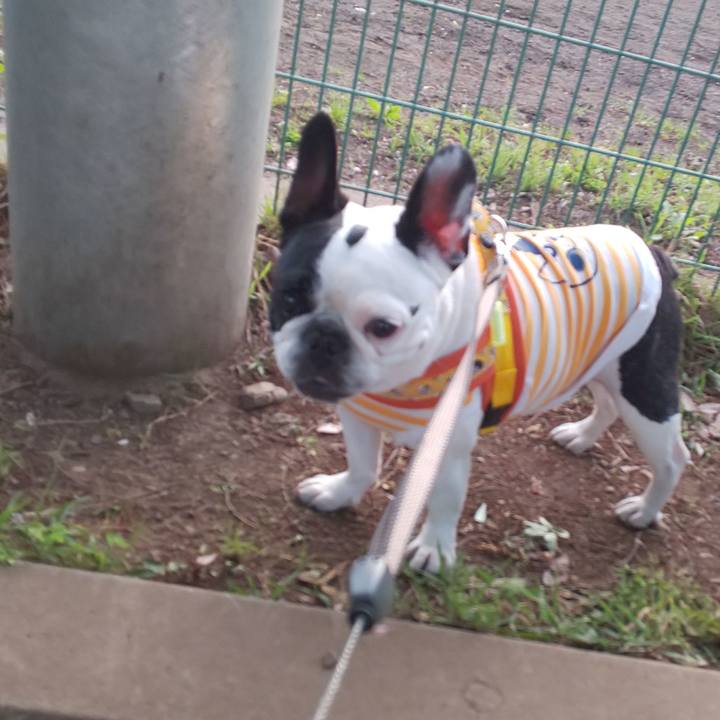 F8d3c453 f9f1 43b0 a455 600d246508b4 1557574626753