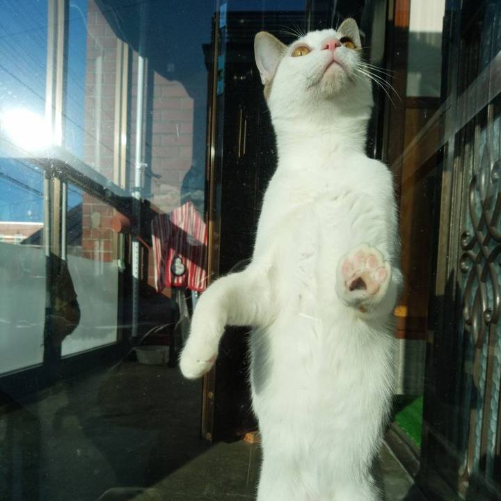 F8d3cfe2 bb1c 4559 9442 fe8e79f032b2 1647336207114