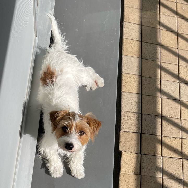 F8d3ef23 ada4 4059 9065 7a67ee2aaf81 1776821907451