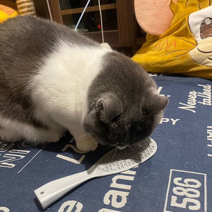 F8d41523 d714 4943 adb4 007673534a53 1731225934644