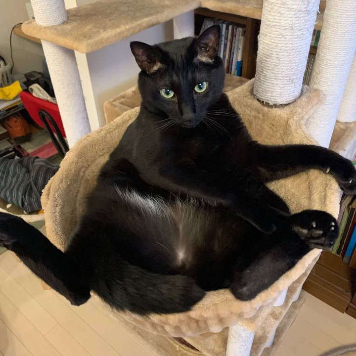 F8d43d32 236f 4fec b132 60bbc0b00369 1651969431110