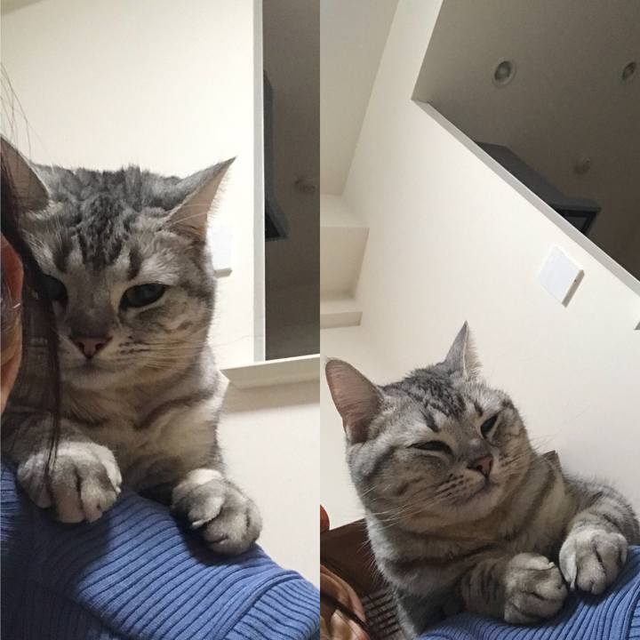 F8d47f77 e930 415a 858d 35667dfdc4c5 1519045632366