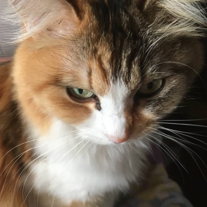 F8d4d14e 71db 433e b31a 6b27035ce5cb 1553544434828