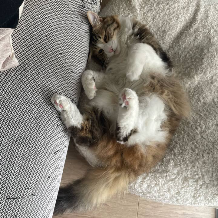 F8d4d3fd 9449 4212 82b4 6632ea6a552a 1772684224751