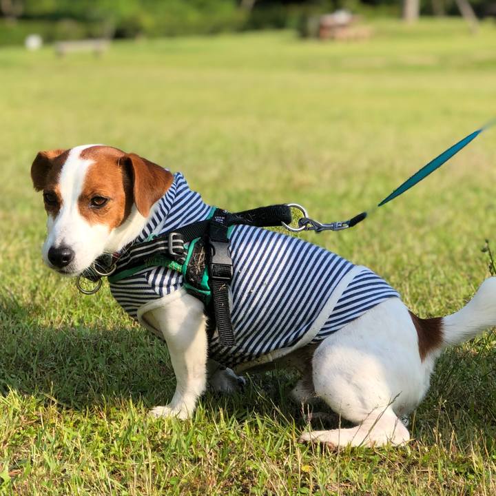 F8d4e9ee ba44 4fc5 8f40 c19ce1409fc4 1590831550050