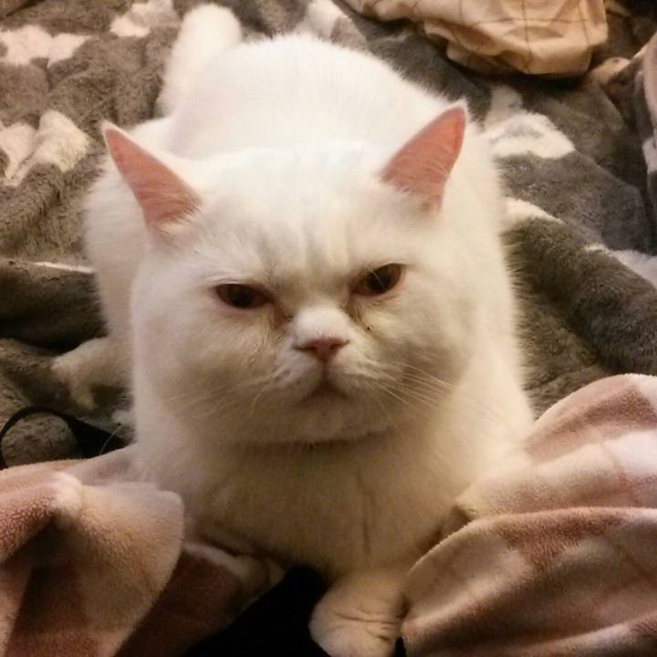 F8d530dc 4742 4aa4 b441 0f9b3b114fce 1525566579688