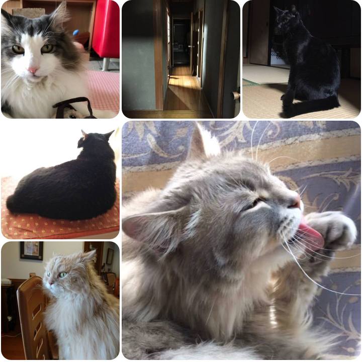 F8d53159 4326 4de6 a485 e32b31196b29 1555932765131