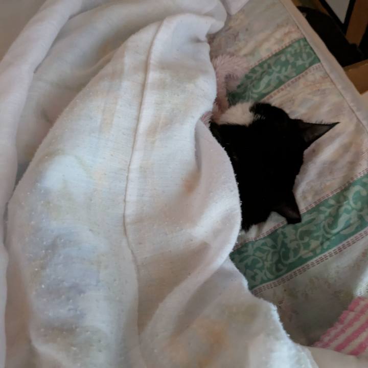 F8d53cd8 db5a 4282 8576 ca21169651a9 1745823566764