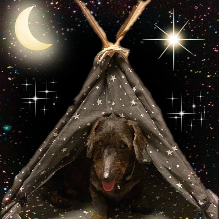 F8d54bfe 1441 4c86 b767 ca306b12bb17 1631463722758