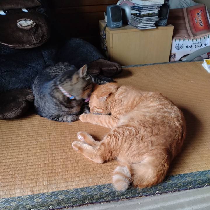 F8d56db6 3c2c 4479 9564 e7622d9ab11d 1693965348509