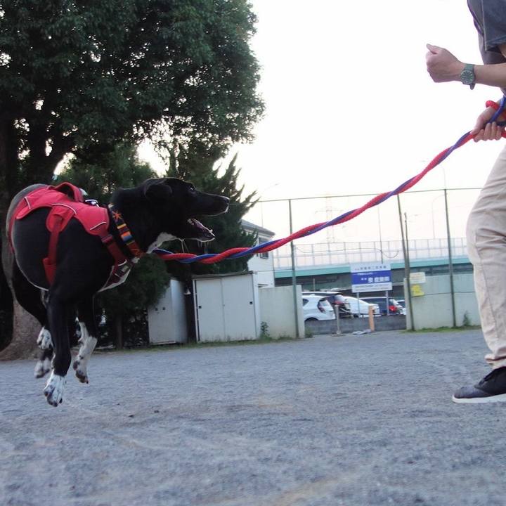 F8d5709a 474b 4cd8 bb28 de7c0969845b 1591269703633