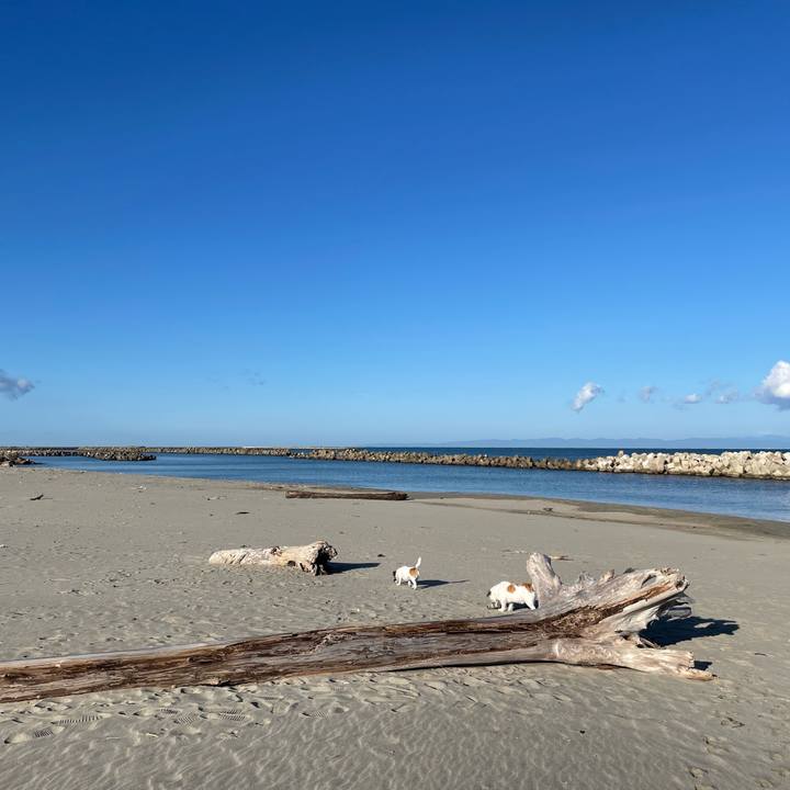 F8d5b668 c040 436b 9a87 c63342f5c0ba 1697153439263